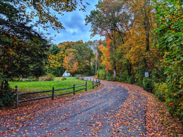 Fall Tipi