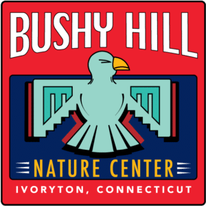 Bushy Hill Logo