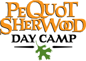 PS Day Camp Logo